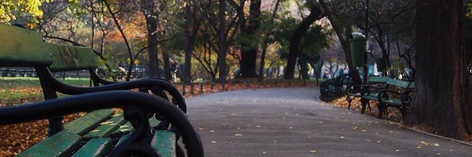 Andrejia_'s profile banner image
