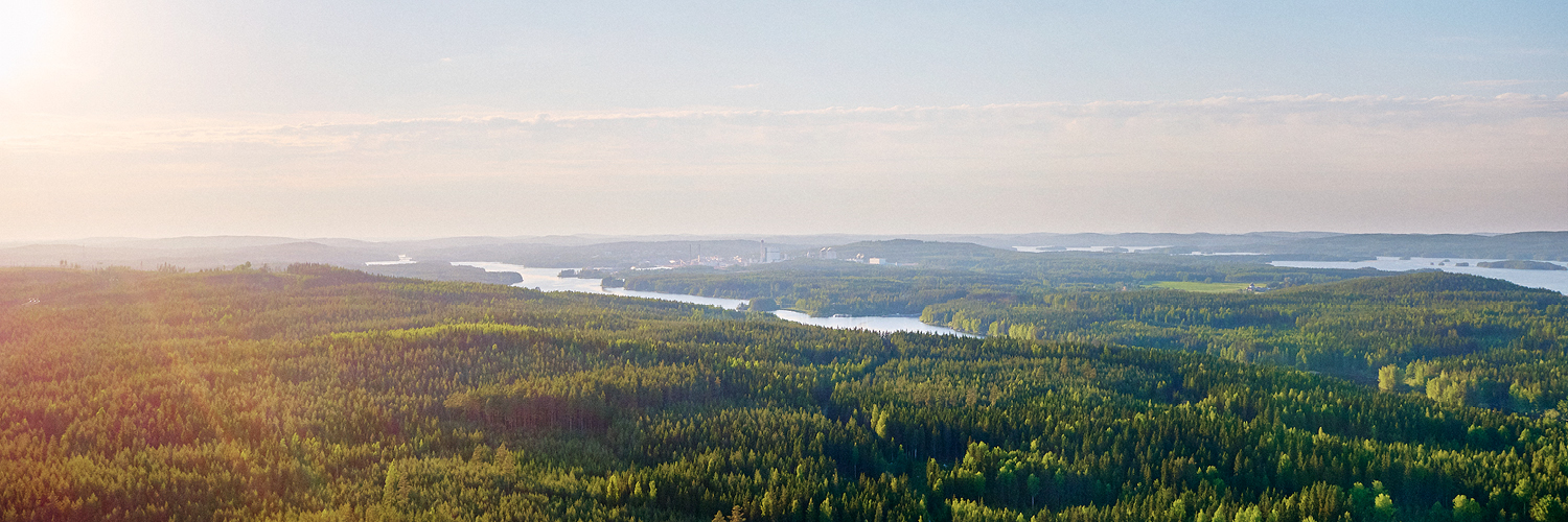 Metsä Group Global banner