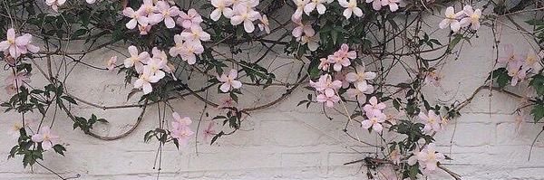 meysa__5's profile banner image