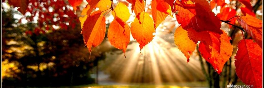 neeru05's profile banner image