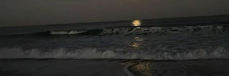 withlovetann's profile banner image
