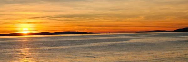 wonbinnis Profile Banner