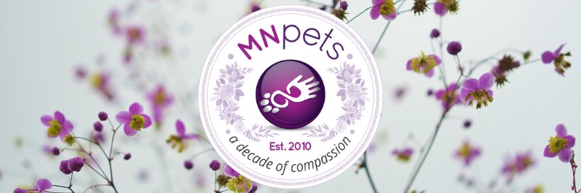 MN Pets banner