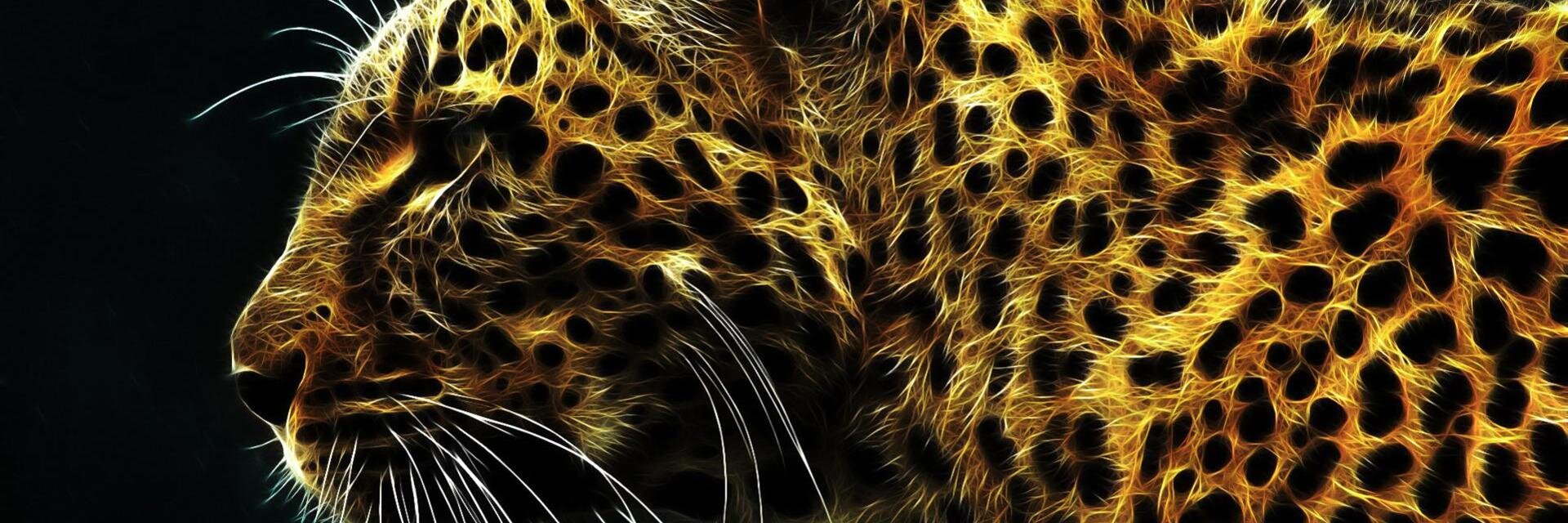 _JCatalan's profile banner image