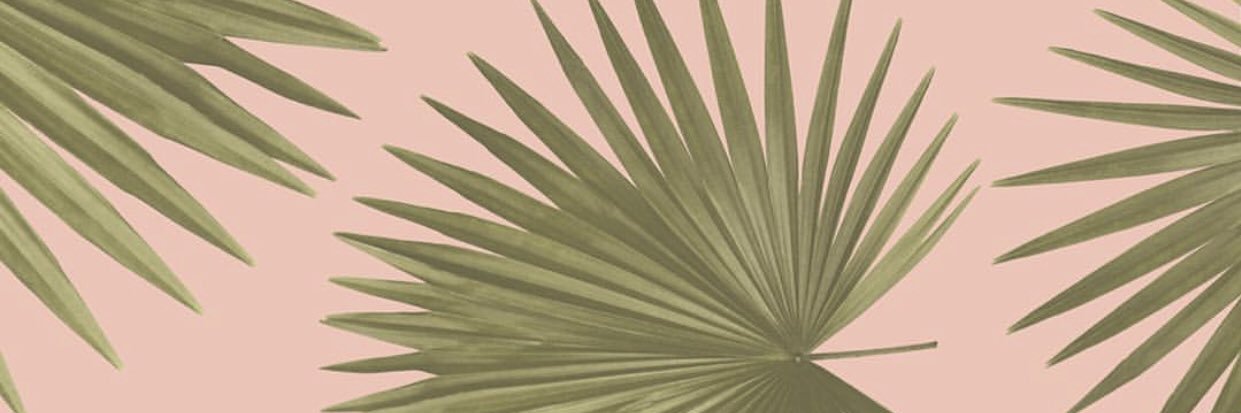 aleesareinel's profile banner image