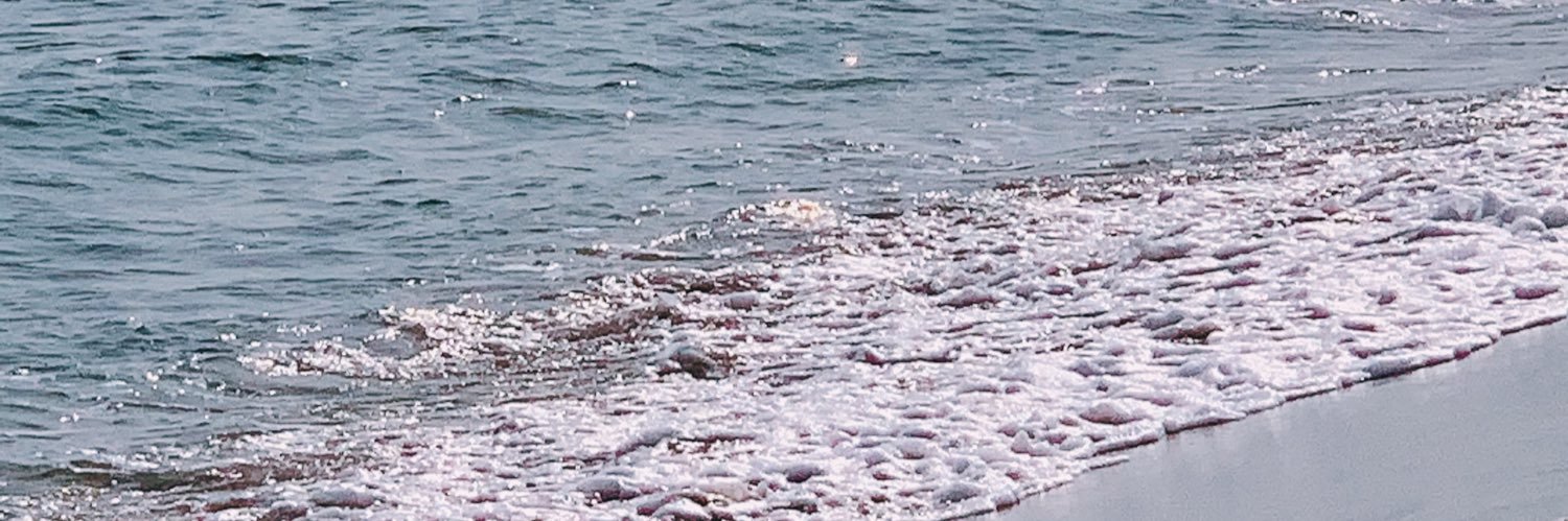 evolevoL_'s profile banner image