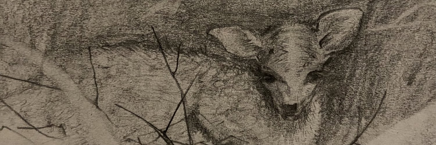xvuse's profile banner image