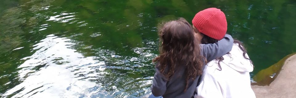 caroolbarreto's profile banner image
