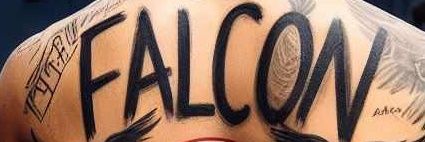 Falcon banner