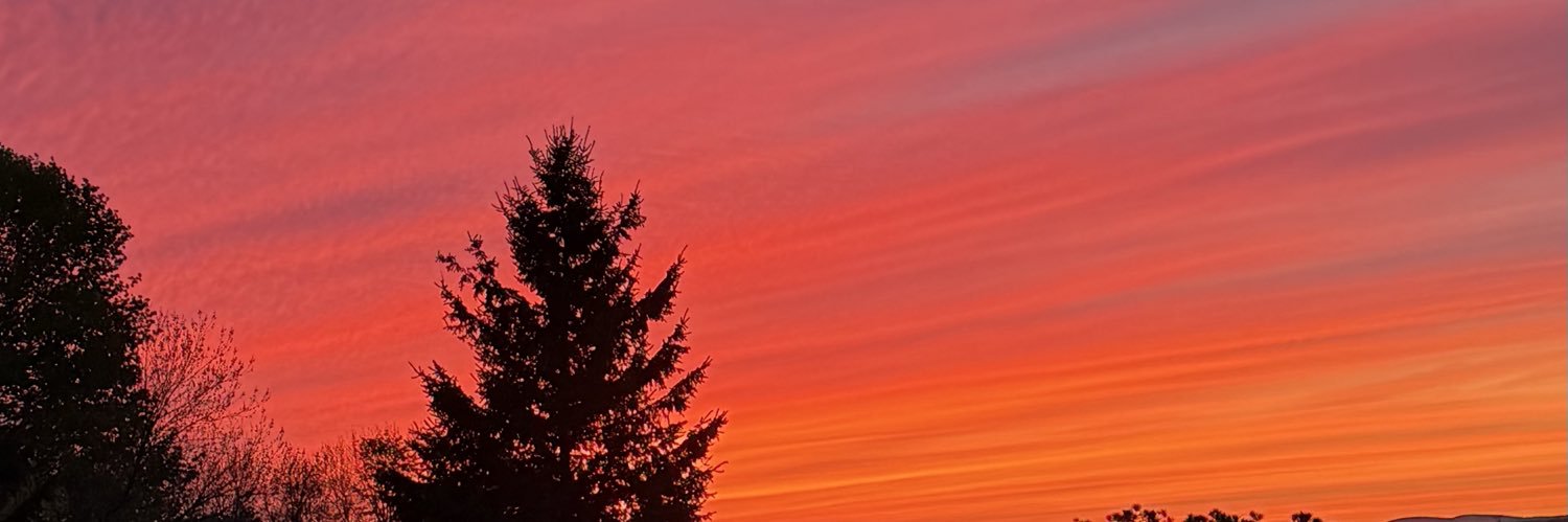 cskinfill's profile banner image