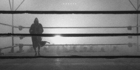 BurchellJay's profile banner image