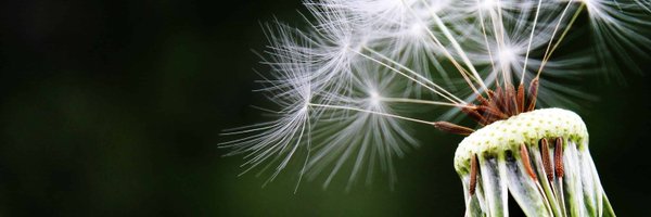 NE_WeedSci Profile Banner