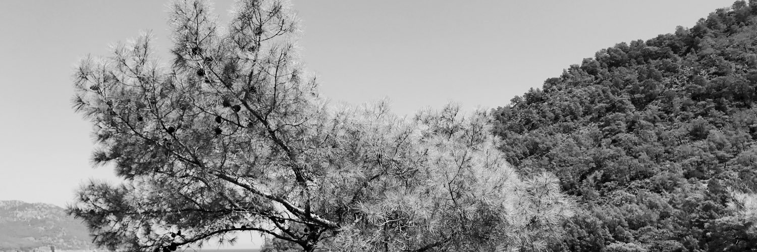 utkuberkbas's profile banner image