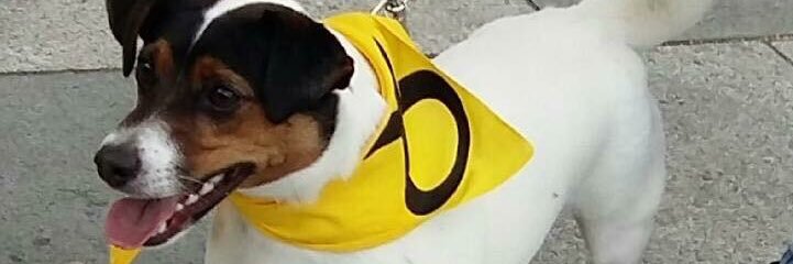 BagPurse's profile banner image