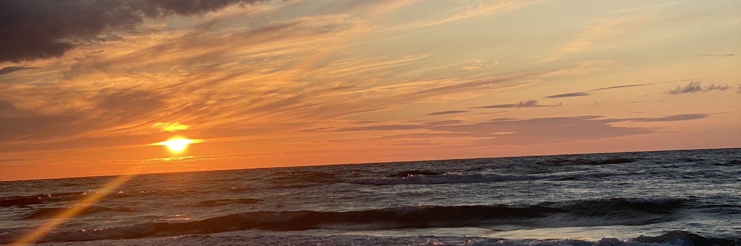 koniarskaa's profile banner image