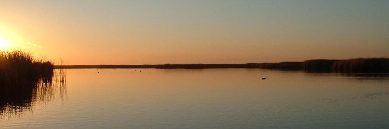 CORiverDelta's profile banner image