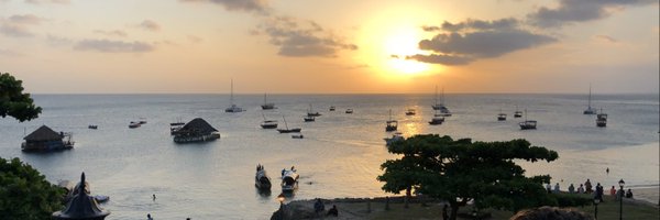 Basseettt Profile Banner