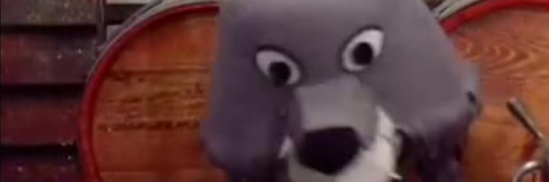 Bor de Wolf / Rob Z's banner