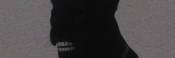 TheCougsBS Profile Banner