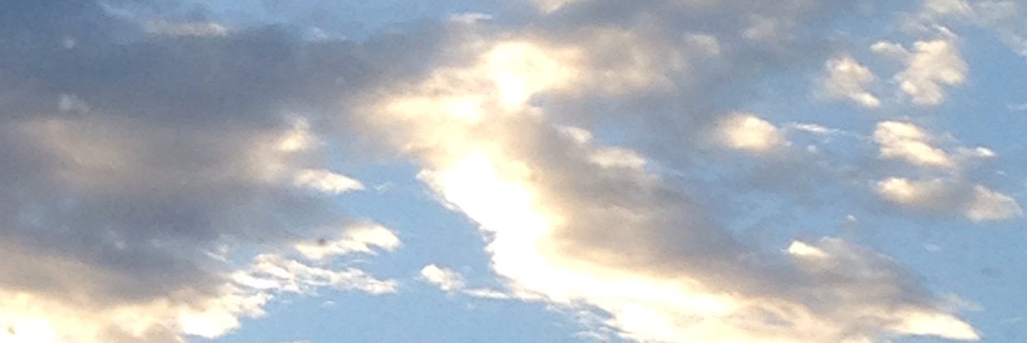 MustardMom58's profile banner image