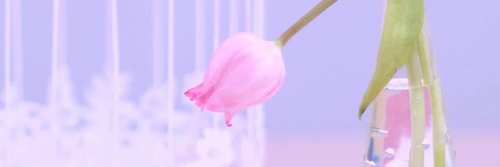 g42237806's profile banner image