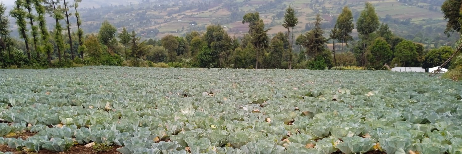 MeastroKip's profile banner image
