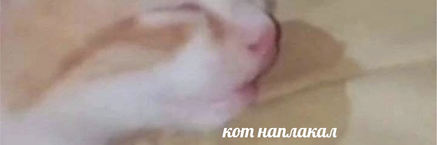 sanches banner