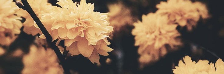 ymendozax's profile banner image