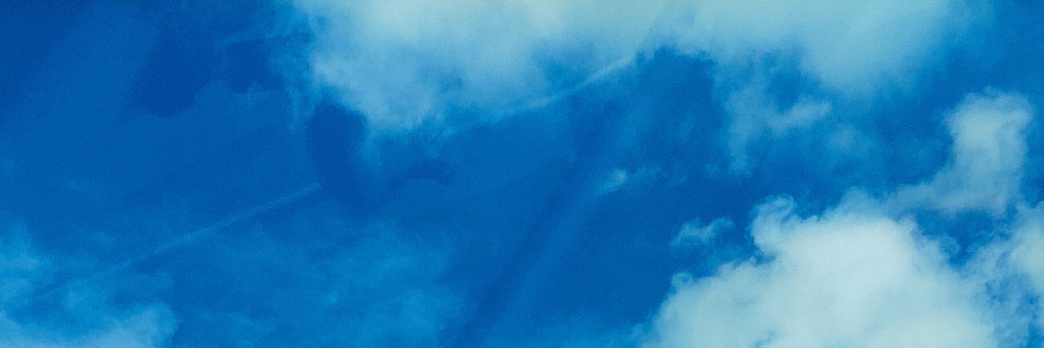 edoardolasala's profile banner image