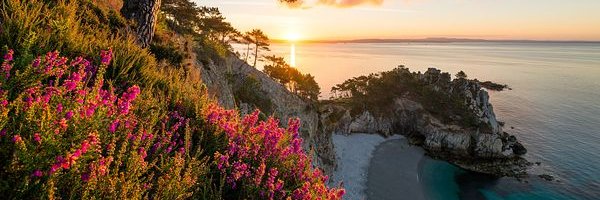 Marie_Renaudeau's profile banner image