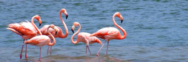 HermanSieben Profile Banner