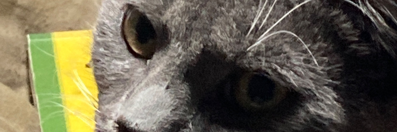 Julian Domain banner