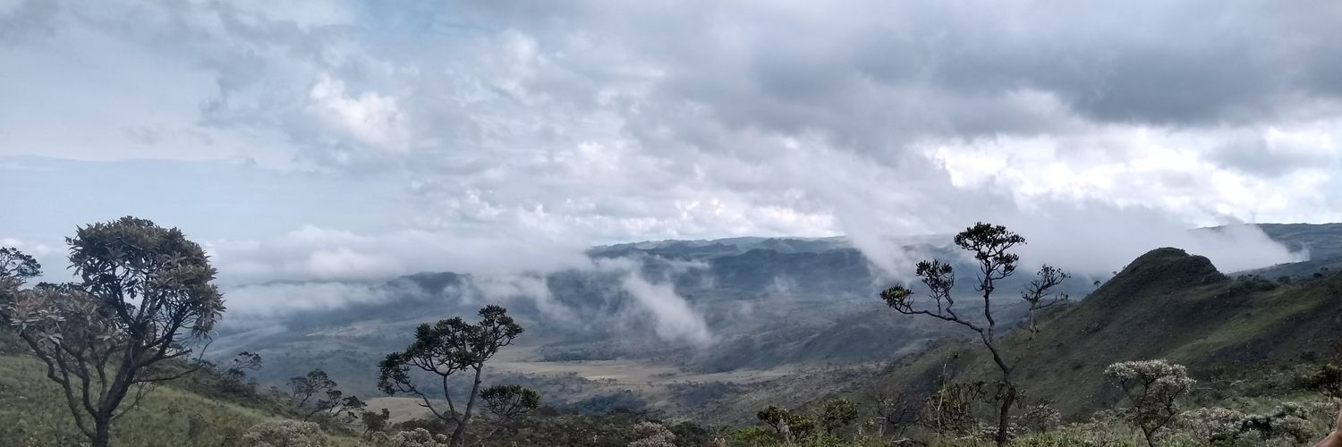 waldirbarbosa2's profile banner image