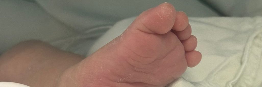 _danuut's profile banner image