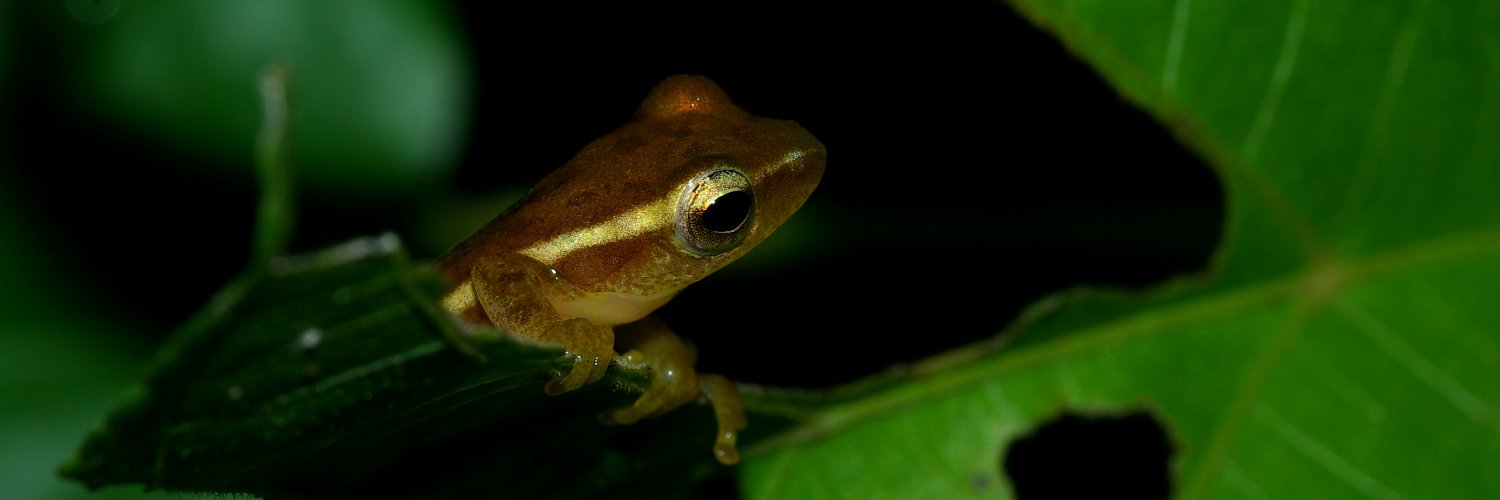 Dr. Sinlan Poo (Sheila) 蒲歆嵐 🇹🇼🐸 banner