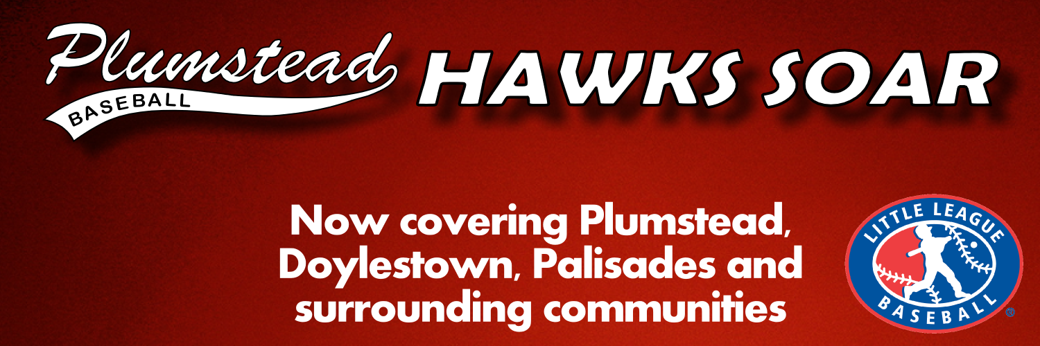 PlumsteadBaseba's profile banner image