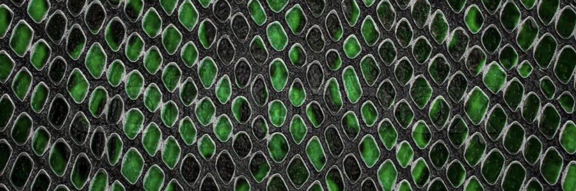 DenimSnakes's profile banner image