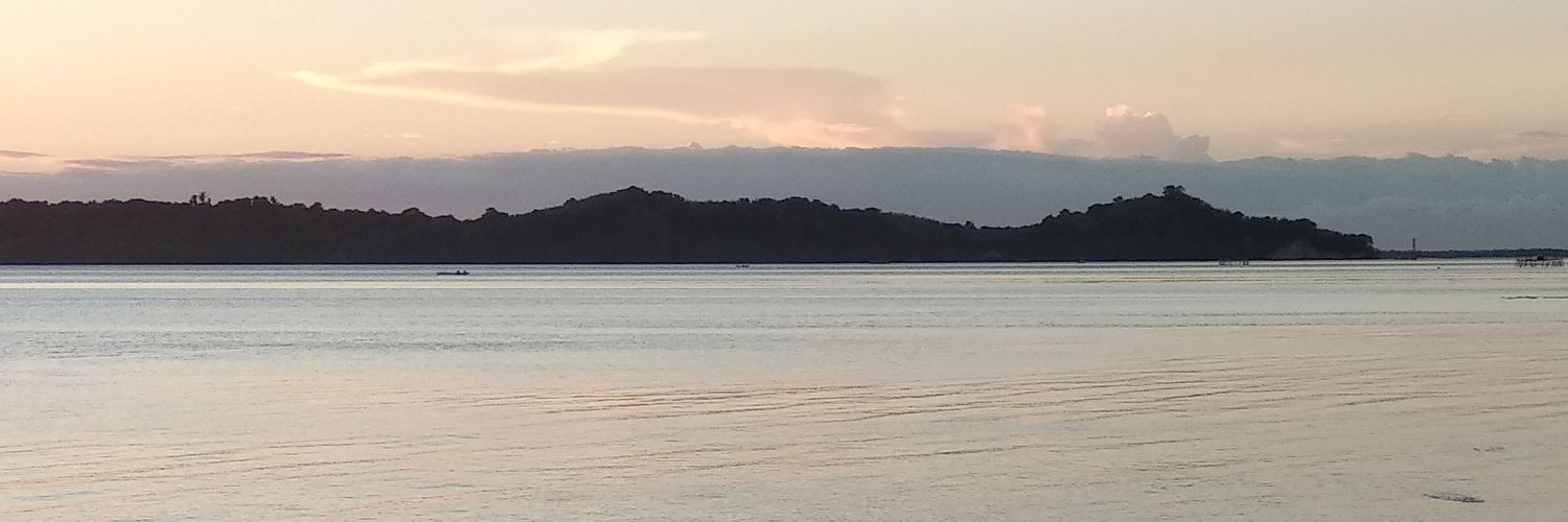 pashipashi35's profile banner image