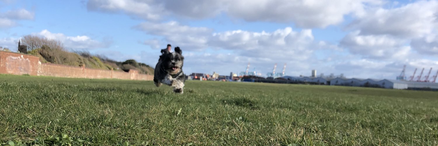 CharlotteDunha's profile banner image
