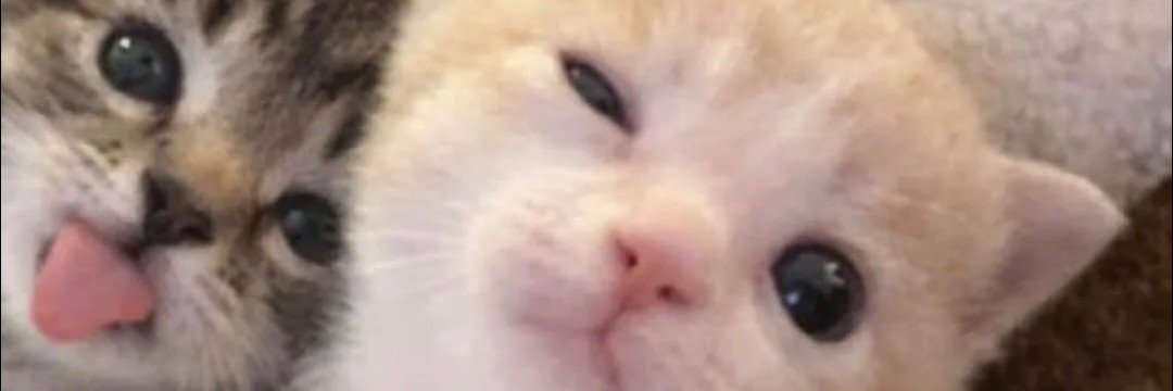 cjinnie_'s profile banner image