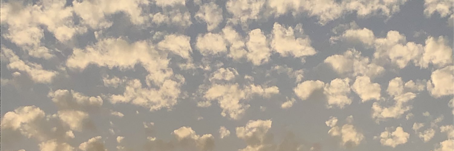 ignacioarancib4's profile banner image