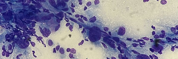 igorvidalMD Profile Banner