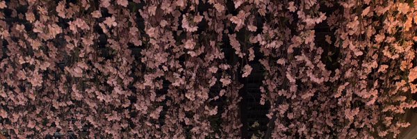 tejschaos Profile Banner