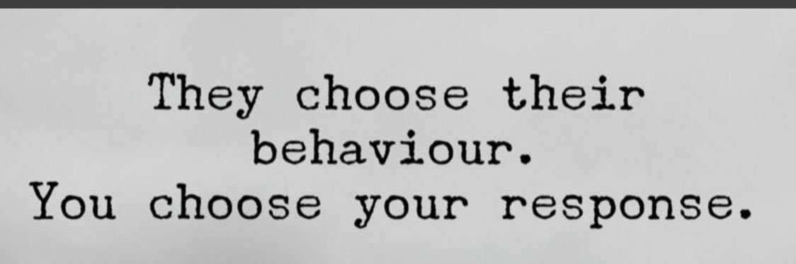 Mr Good Behaviour banner