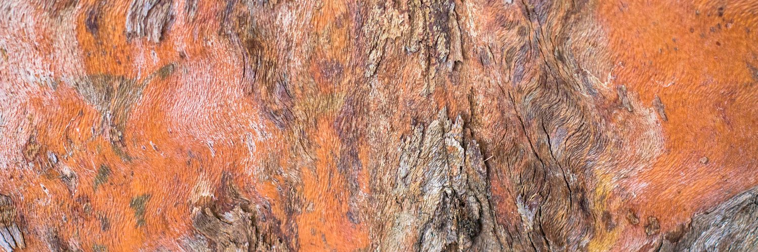 Australian Death Studies Society banner