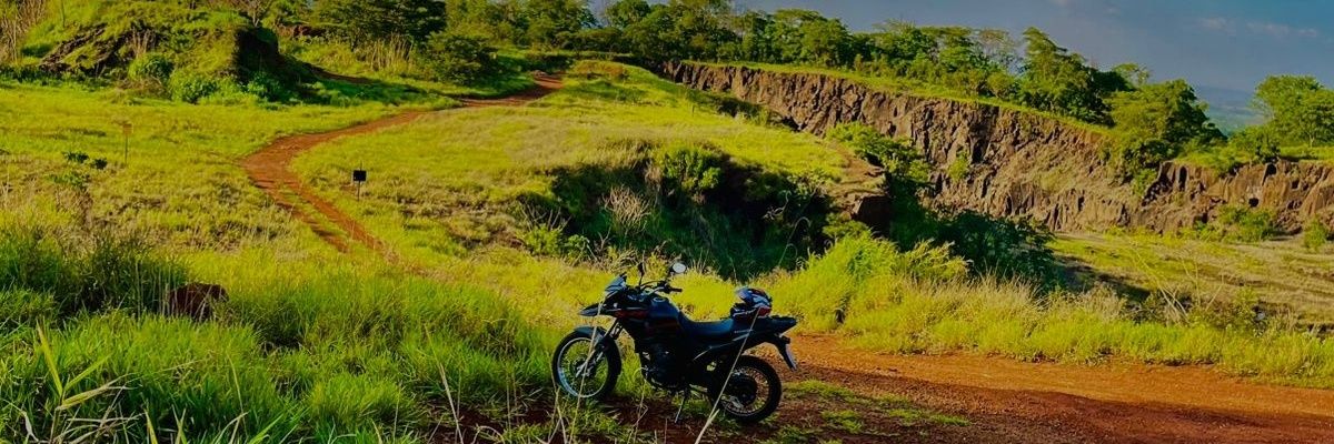 ltn_aio's profile banner image