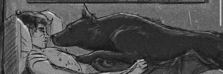 wolfboy_x12's profile banner image