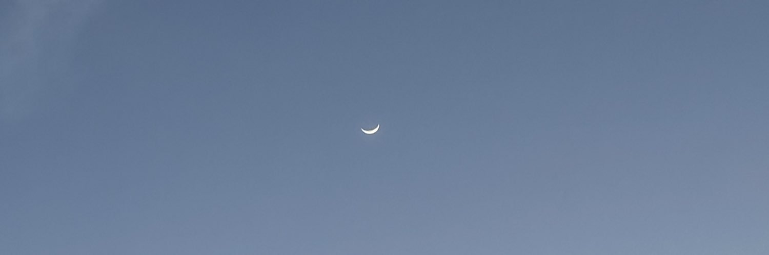 ִֶָ banner