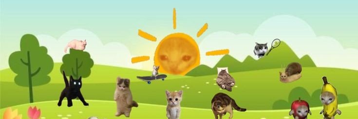 riefchaaa's profile banner image