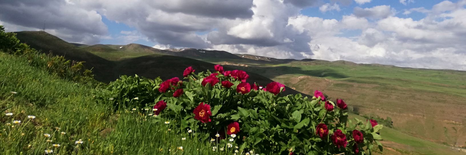 kas_welat's profile banner image